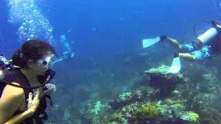 St. John (USVI) - Carvel Rock Dive Site