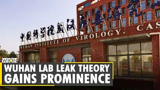 Report: British intelligence believes lab-leak theory is 'feasible' | COVID-19 | Coronavirus | World