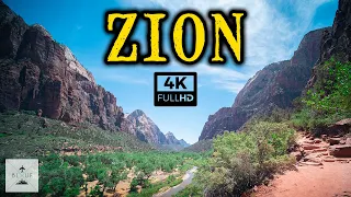 Zion National Park in a Single Day [4K]