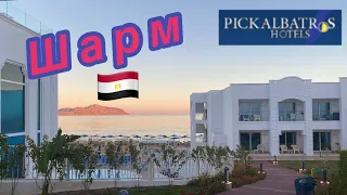 Albatros Palace Sharm El Sheikh Walkthrough/ Полный Обзор Отеля  (4K)