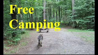 Free Camping in NY State Forests, Charles E. Baker and the Brookfield Horse trails.  Best free camp.