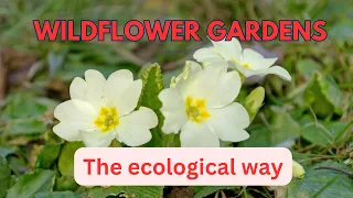 WILDFLOWER GARDENS - AN ECOLOGICAL APPROACH