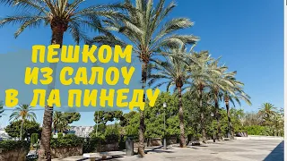 От Салоу (Salou) до Ла Пинеды (La Pineda) за 25 минут по уединенному маршруту. Подсказки туристам.