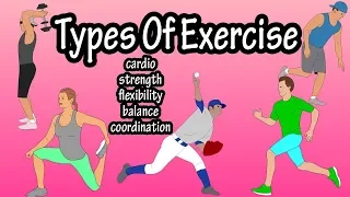 Different Main Types Of Exercises - Cardio, Strength Training, Flexibility, Balance And Coordination