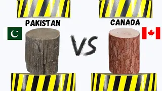 Which is the Strongest Tree? Hydraulic Press Test! HYDRAULIC PRESS VS HARDEST WOOD, IRON WOOD