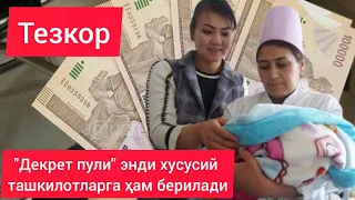 "Декрет пули" энди хусусий ташкилотдагиларга ҳам берилади