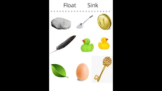 FLOAT & SINK Science Experiment