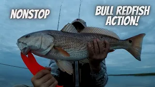 Nonstop Bull Redfish Action