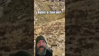 Bigfoot spotted in Colorado?