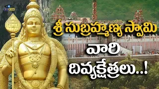 Famous Lord Subramanya Swamy Tamples in Tamilnadu | Lord Murugan Temples | Eyeconfacts