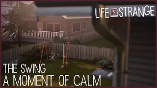 A Moment of Calm - The Swing