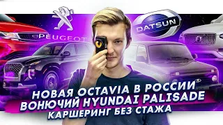 Новая Skoda Octavia в России | Вонючий Hyundai Palisade | В каршеринг без стажа