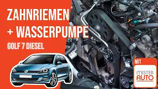 Zahnriemenwechsel mit Wasserpumpe Golf 7  1.6 oder 2.0 TDI 🚗