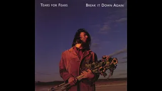 Tears For Fears - Break It Down Again (Torisutan Extended)