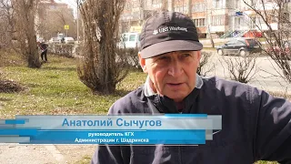 В Шадринске продолжается месячник благоустройства. Анатолий Сычугов