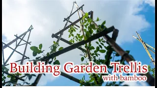 Making Garden Trellis out of Bamboo DIY