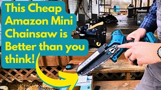 One of the Cheapest Mini Chainsaws on Amazon is Better than you think! (Sainlogic Mini Chainsaw)