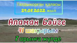 Бәйге! Бәйге! АЛАМАН бәйге 41 км. Жетісу облысы, Талдықорған қаласы 29.08.2022 жыл