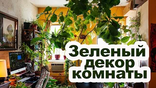 Комнатные растения в интерьере [ Идеи как украсить квартиру ]