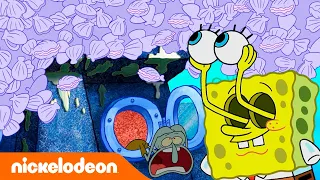 SpongeBob Schwammkopf | SpongeBob verwandelt sich in eine Muschel! | Nickelodeon Deutschland