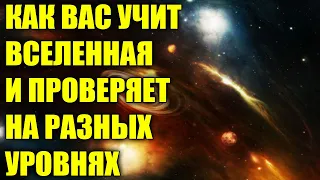 ПРАВИЛО "ТРЁХ СИГНАЛОВ" - КАК ВАС УЧИТ ВСЕЛЕННАЯ!