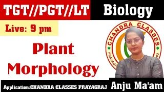 MOST IMPORTANT QUESTIONS  OF PLANT MORPHOLOGY | || LT || TGT || PGT BIOLOGY  || 9 PM || BY ANJU MAM