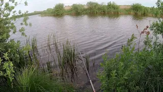 Риболовля на поплавок в червні! Що клює на ставку? Рибалка на поплавок на ставку! Рибалка літом 2023