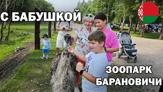 ♥️С БАБУШКОЙ ГУЛЯЕМ - ЗООПАРК БАРАНОВИЧИ БЕЛАРУСЬ #влог