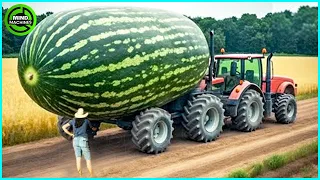 The Most Modern Agriculture Machines That Are At Another Level, How To Harvest Watermelon In Farm ▶4