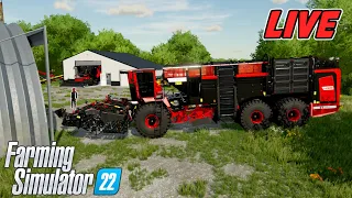 🔴 LIVE 43 MPH Root Crop Harvest On Edgewater Saskatchewan | Farming Simulator 22