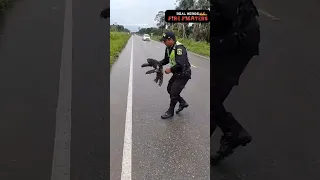 இப்படியும் ஒரு கரடியா ?? பாத்தாலே உடம்பு புல்லரிக்கும் 😳😳😳 Rescue sloth🦥🦥🦥