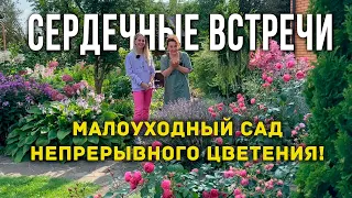 Проект "Сердечные встречи". Людмила Кудасова: как создать малоуходный сад. Секреты цветущего сада.