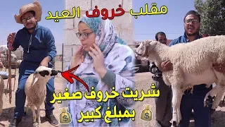 شرينا خروف عيد الأضحى ودرناها بأبتسام زوجتي 🔥 جبت حولي صغير بمبلغ كبير  😜