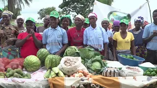 Angola - Investing in local small-scale farmers.