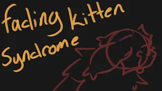 Fading Kitten Syndrome (Artificer PMV)