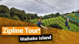 🌳 Waiheke Island Zipline Tour with EcoZip Adventures – New Zealand's Biggest Gap Year