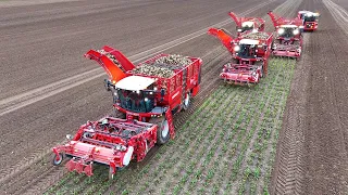 Highlights from the J Riley 2024 working demonstration with Vervaet Q-616, Beet Eater 625 and Quad