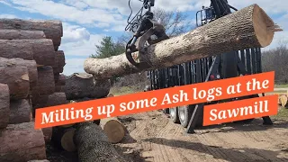 Milling up some Emrald ash borer kill logs on the lt 35!!!