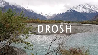 Drosh Village In Chitral - Near Afghanistan Border Pakistani Village | Travel to Chitral Valley