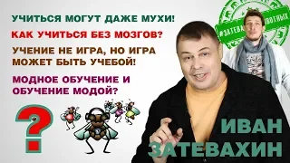 05 || Как учиться без мозгов и что общего между котиками, песиками и мухами || Затевахин о Животных