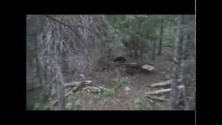 Best Bear Hunt Ever 2009 Archery Kill