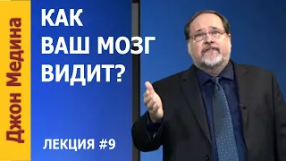 Как Ваш Мозг видит?  💥 Джон Медина — Ваш уникальный мозг — Лекция №9