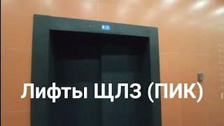 Лифты ЩЛЗ EcoMaks в доме от ПИК.