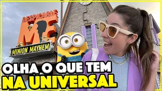 TOUR NA UNIVERSAL - A ÁREA DOS MINIONS DA UNIVERSAL STUDIOS DE ORLANDO