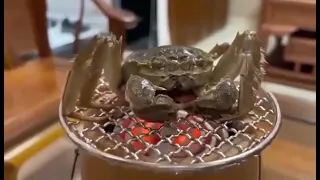 Cooking crab on Chinese baijiu. (Drunken crab)