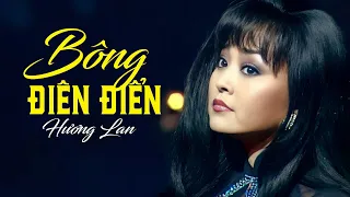 Bông Điên Điển - Hương Lan | Music Video