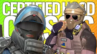 LARDEX MOZZIE CERTIFIED HOOD CLASSIC | Rainbow Six Siege