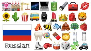 Learn 400 Basic Russian Words for Beginners with Emoji 💄👑🎒🦁