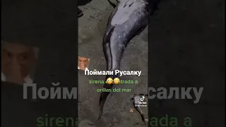 Поймали Русалку😳😳