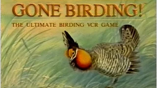 Black Hole of Board Games - Gone Birding!